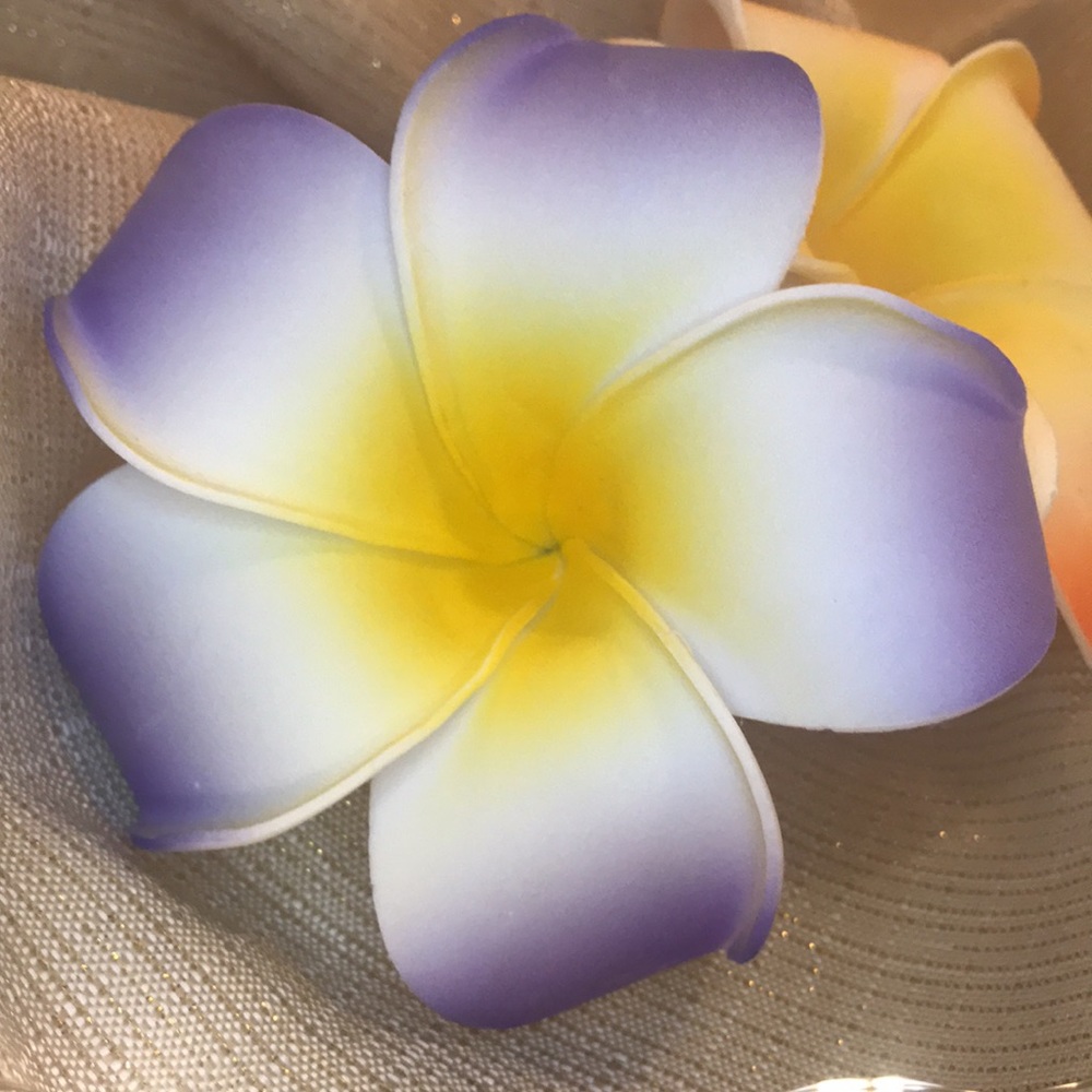 Tropical Flower Hair Clips 🌺